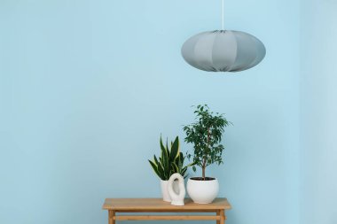 Asılan lamba ve bankta mavi duvarın yanında çiçekler var.