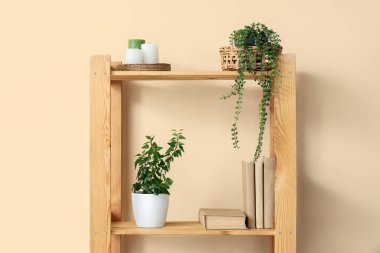 Bej duvarın yanında kitap ve bitkilerle ahşap raf ünitesi.