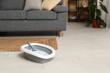 Oturma odasındaki kedi için kepçe ve gri çöp kutusu