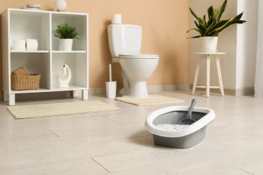 Banyodaki kedi için gri çöp kutusu.