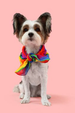 Pembe arka planda oturan gökkuşağı eşarplı şirin Terrier köpeği.