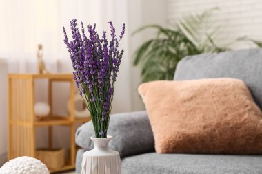Odadaki kanepenin yanında güzel lavanta çiçekleri olan vazo.