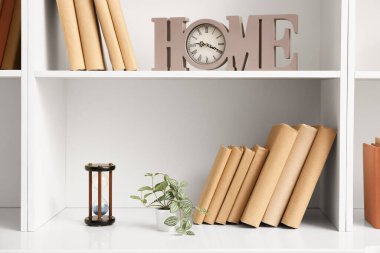 Kitaplı raflar, şık dekorlar ve ev bitkisi, yakın plan.