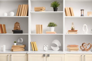 Kitaplı raflar, ev bitkileri ve şık dekorlar, yakın plan.