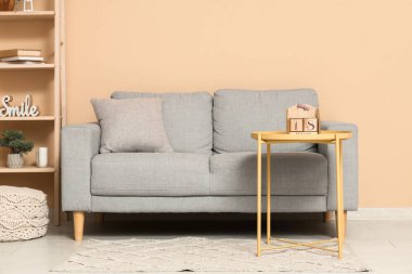 Gri kanepe ve takvimle oturma odasının içinde.