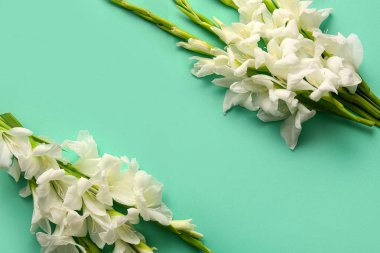 Yeşil arka planda güzel beyaz gladiolus çiçeklerinden yapılmış çerçeve, yakın plan