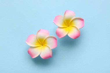 Mavi arka planda güzel pembe tesisat çiçekleri