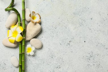 Gri grunge arka planında taş, tesisat çiçekleri ve yeşil bambu saplı güzel spa kompozisyonu, yakın plan