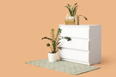 Ev bitkileri ve bej arka planda modern çekmeceler