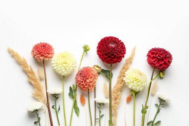 Beyaz arka planda yıldız çiçeği ve kasımpatı çiçekleri olan kompozisyon