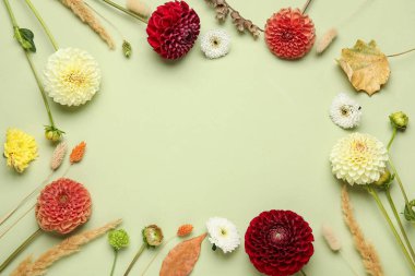 Güzel yıldız çiçekleri ve yeşil arka planda kurumuş yapraklardan yapılmış çerçeve