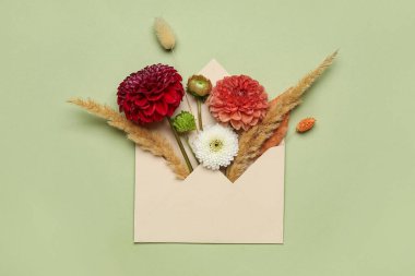 Zarflı kompozisyon ve yeşil arka planda güzel yıldız çiçekleri.