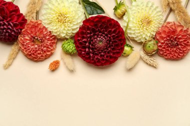 Bej arka planda güzel yıldız çiçekleri ve pampa otları olan kompozisyon, yakın plan