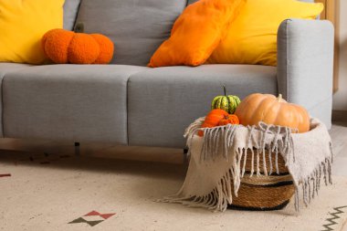 Oturma odasındaki kanepenin yanında farklı balkabakları ve battaniyeyle hasır sepet.