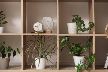 Yeşil bitkileri, çalar saati ve lambası olan raf ünitesi odada.