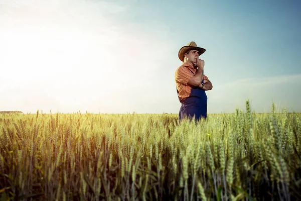 Фермер Стоящий Пшеничном Поле — стоковое фото