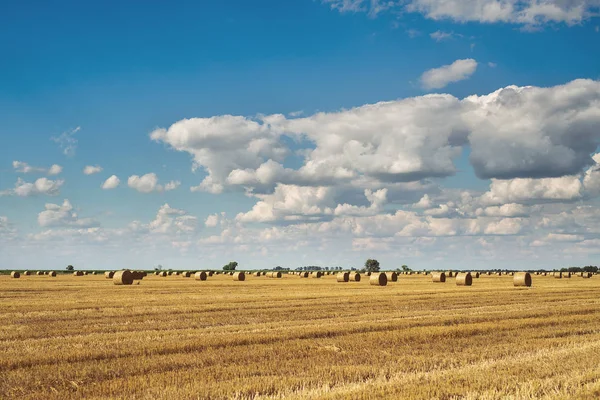 Runde Strohballen Auf Abgeernteten Feldern Und Blauer Himmel Mit Wolken — Stockfoto