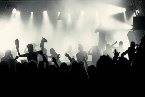 Menigte Concert Zomer Muziekfestival Stockfoto