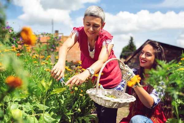 Mother Daughter Working Garden — Stock Photo, Image