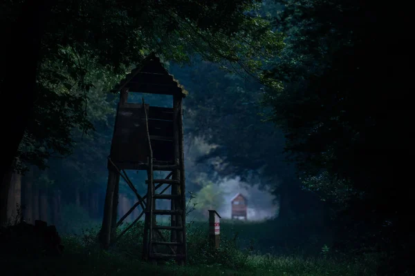 Hunting Pulpit Forest Dusk — Stock Photo, Image