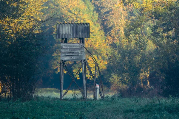 Bir Alanı Bir Kule Ile Sonbahar Doğa — Stok fotoğraf