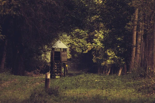 Naturaleza Otoñal Con Una Torre Caza Campo — Foto de Stock