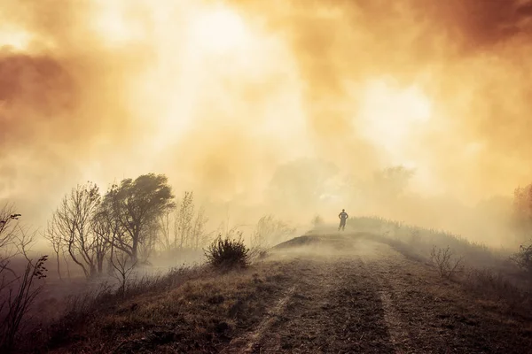 Bomberos Luchan Contra Incendio Forestal — Foto de Stock