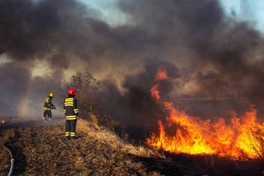 bir orman yangını itfaiye savaş