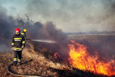 bir orman yangını itfaiye savaş