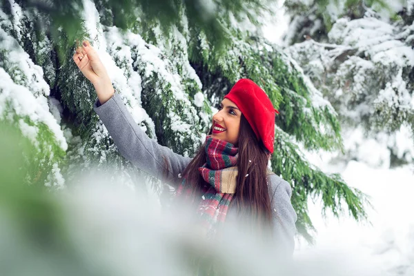 Portrait Young Beautiful Woman Winter Time Image — Stock Photo, Image