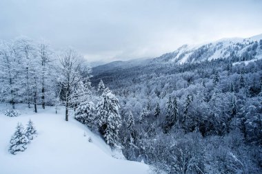 Dağlarda sisli kış manzara Panoraması. -Görüntü