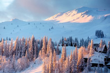 Ağaçlar güzel kış manzarası kar ile kaplı. -Görüntü