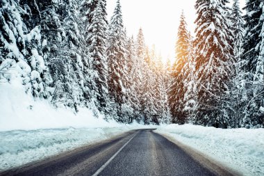 Yol ve orman kar kış. -Görüntü