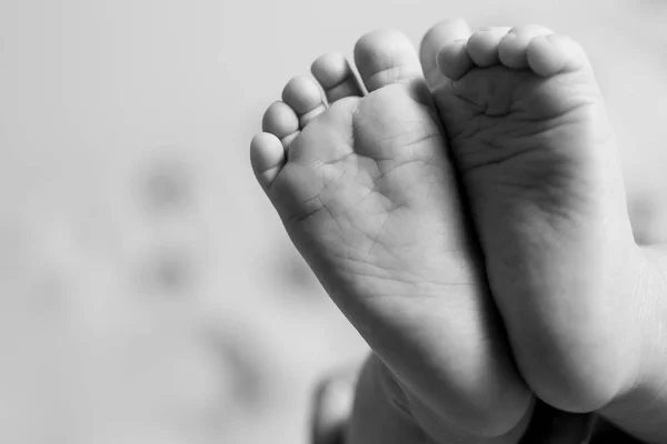 Feet Little Baby Image — Stock Photo, Image