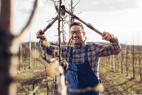 Landwirt Schneidet Obstbäume Obstgarten — Stockfoto