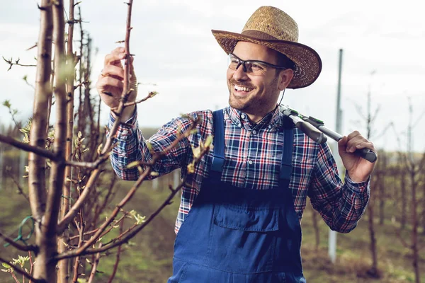 Landwirt Überprüft Seine Jungen Bäume Obstgarten — Stockfoto