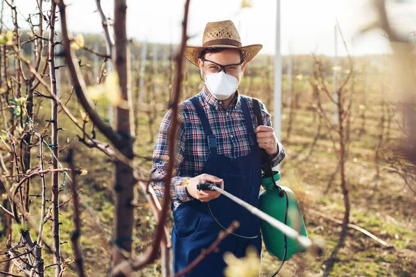 Jóvenes Agricultores Rociando Los Árboles Con Productos Químicos Huerto —  Fotos de Stock