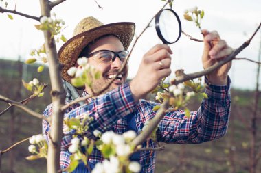 Ağacı incelemek için Büyüteç kullanan Genç çiftçi 