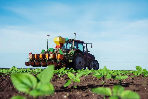 Cultivos Siembra Agricultores Campo —  Fotos de Stock