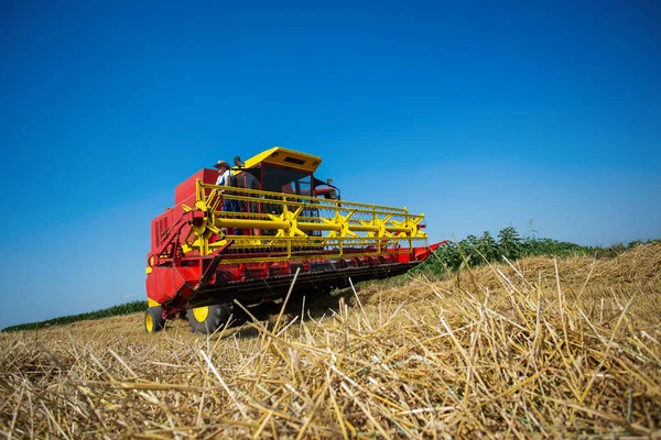 Buğday Tarlasında Çalışan Hasatçıyı Birleştirin — Stok fotoğraf