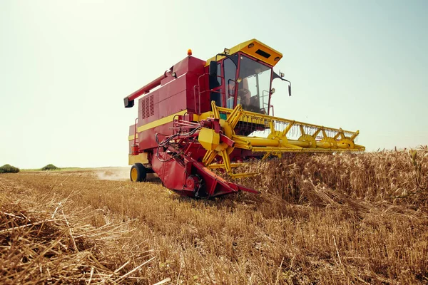 黄金の小麦の分野で収穫を組み合わせる — ストック写真