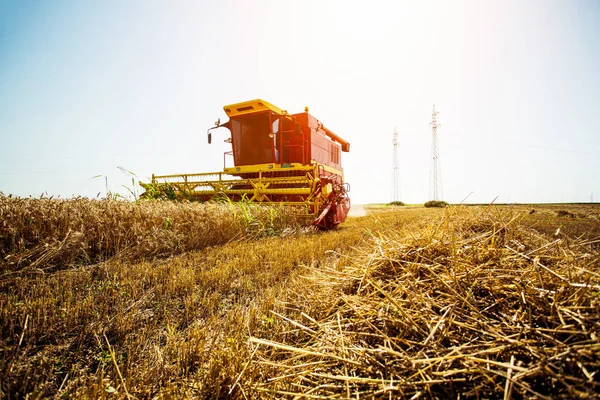 Mähdrescher Ernten Auf Einem Feld Aus Goldenem Weizen — Stockfoto