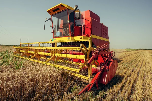 Harvester Verzamelt Tarwe Veld — Stockfoto