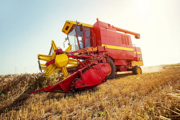 小麦田上的联合收割机 — 图库照片