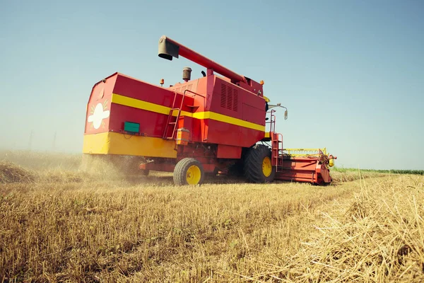 Combina Raccolta Campo Grano Dorato — Foto Stock