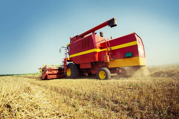 Combineer Oogsten Een Veld Van Gouden Tarwe — Stockfoto