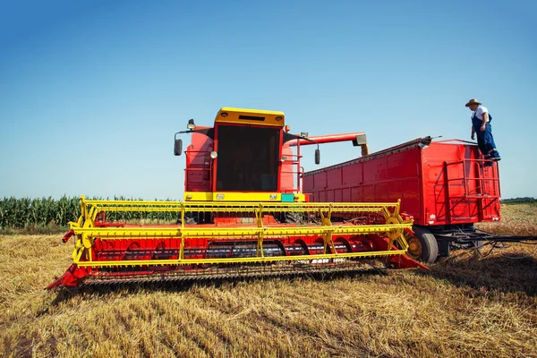 Boer Tarweveld Met Harvester — Stockfoto