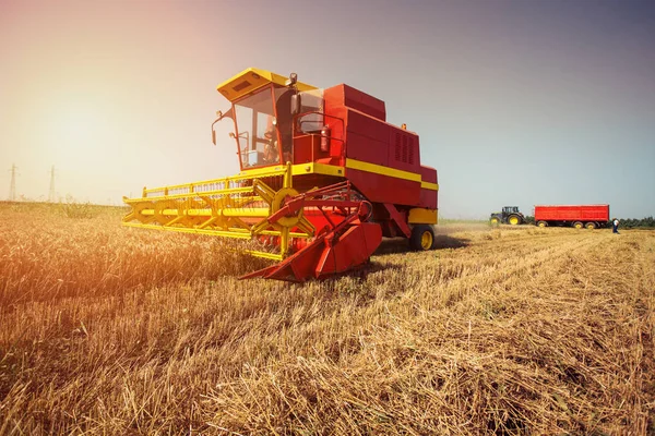 Altın Buğday Bir Alanda Hasat Birleştirin — Stok fotoğraf