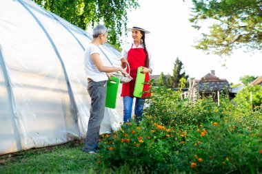 Çiçekçi kadın bir sera çiçeklerle çalışma
