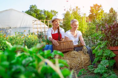 Ona sebze bahçesinde çalışan iki kadın